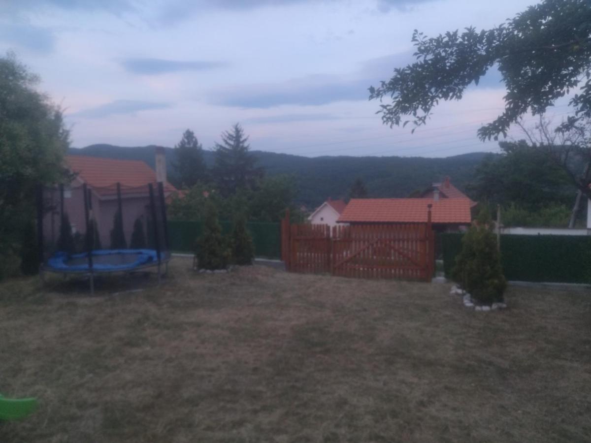 Bor, Savaca - Porodicna Vikendica Za Izdavanje Zewnętrze zdjęcie